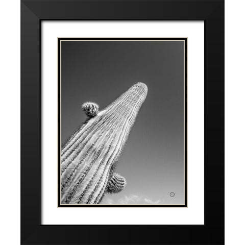 King I Black Modern Wood Framed Art Print with Double Matting by Larson, Nathan