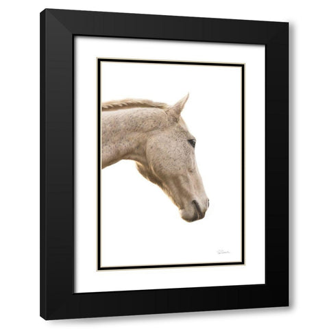 A Horse Named Lady I Black Modern Wood Framed Art Print with Double Matting by Schlabach, Sue