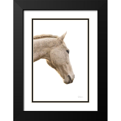 A Horse Named Lady I Black Modern Wood Framed Art Print with Double Matting by Schlabach, Sue