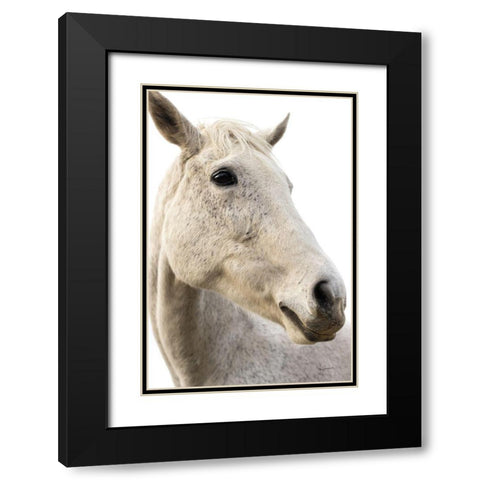 A Horse Named Lady II Black Modern Wood Framed Art Print with Double Matting by Schlabach, Sue