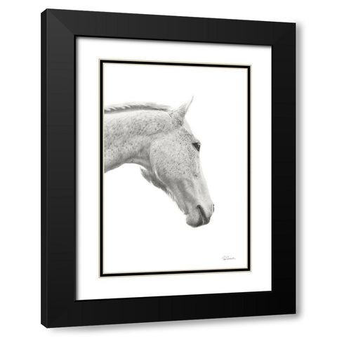 A Horse Named Lady I BW Black Modern Wood Framed Art Print with Double Matting by Schlabach, Sue