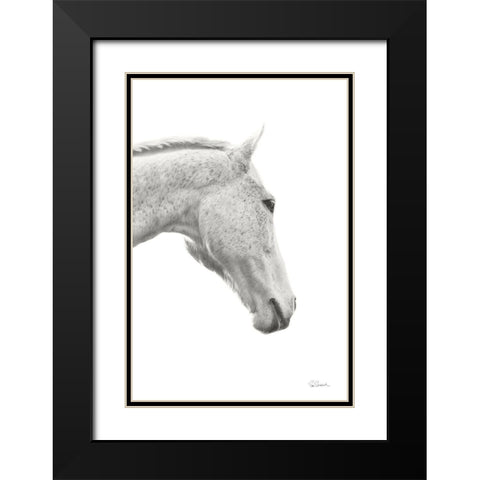 A Horse Named Lady I BW Black Modern Wood Framed Art Print with Double Matting by Schlabach, Sue
