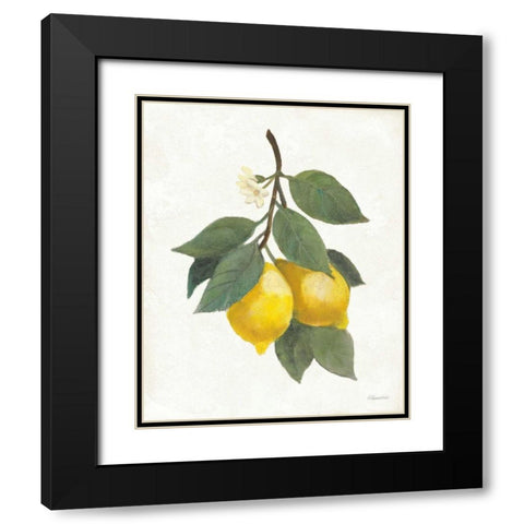 Lemon Branch II Black Modern Wood Framed Art Print with Double Matting by Hristova, Albena
