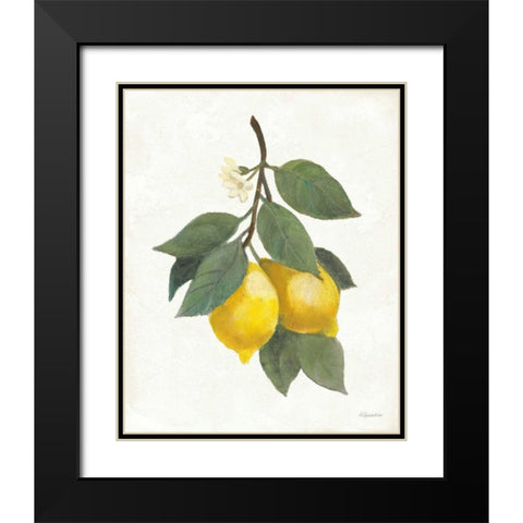 Lemon Branch II Black Modern Wood Framed Art Print with Double Matting by Hristova, Albena