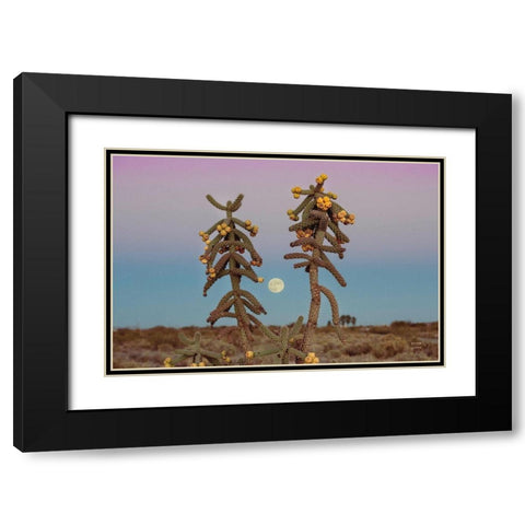 Desert Moonrise Black Modern Wood Framed Art Print with Double Matting by Larson, Nathan