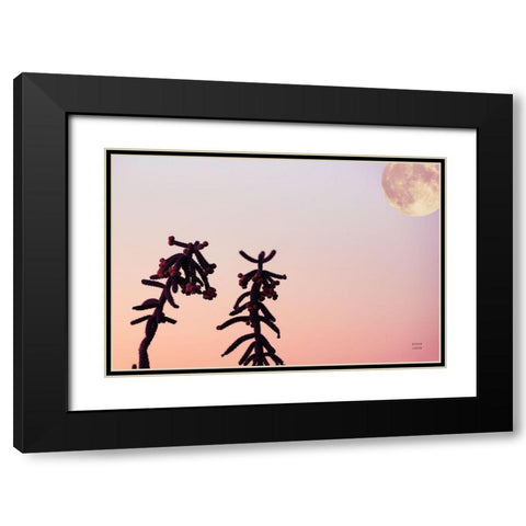 Moon Desert Black Modern Wood Framed Art Print with Double Matting by Larson, Nathan