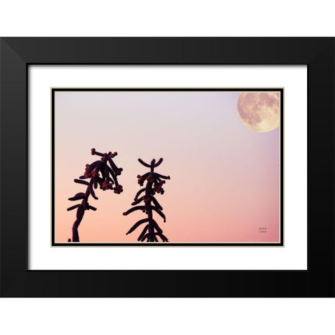 Moon Desert Black Modern Wood Framed Art Print with Double Matting by Larson, Nathan