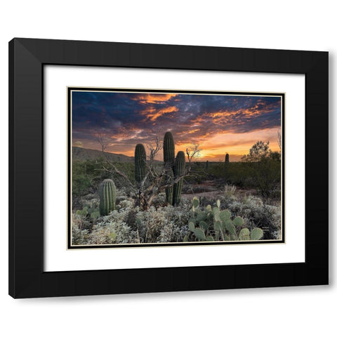 Sunset Moonrise Black Modern Wood Framed Art Print with Double Matting by Larson, Nathan