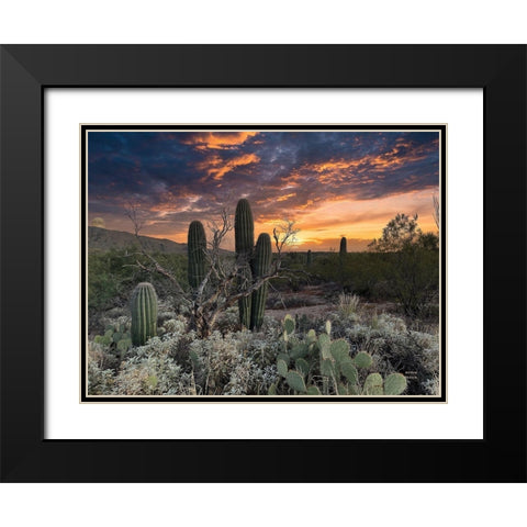Sunset Moonrise Black Modern Wood Framed Art Print with Double Matting by Larson, Nathan