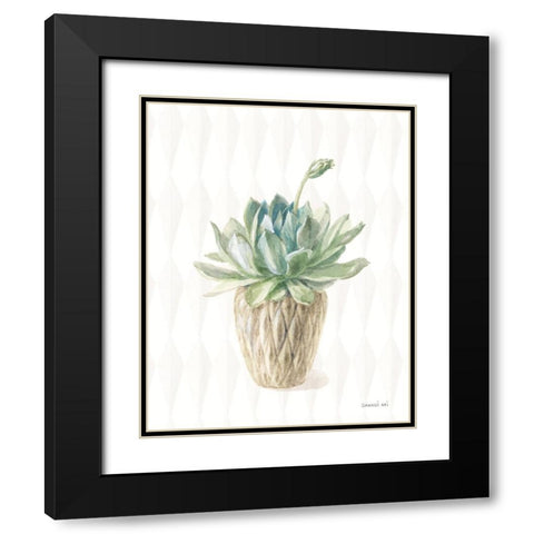 Desert Greenhouse XV Black Modern Wood Framed Art Print with Double Matting by Nai, Danhui