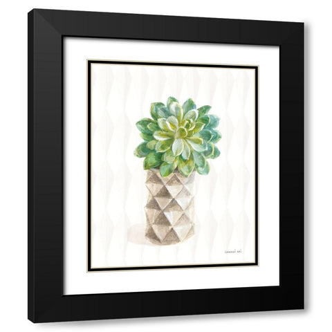 Desert Greenhouse XVIII Black Modern Wood Framed Art Print with Double Matting by Nai, Danhui