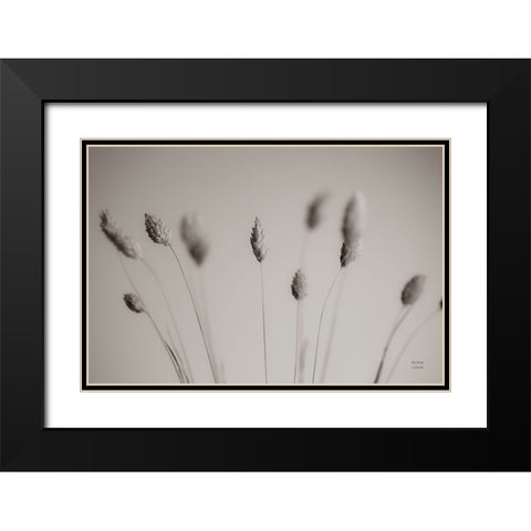 Natural Grasses Black Modern Wood Framed Art Print with Double Matting by Larson, Nathan