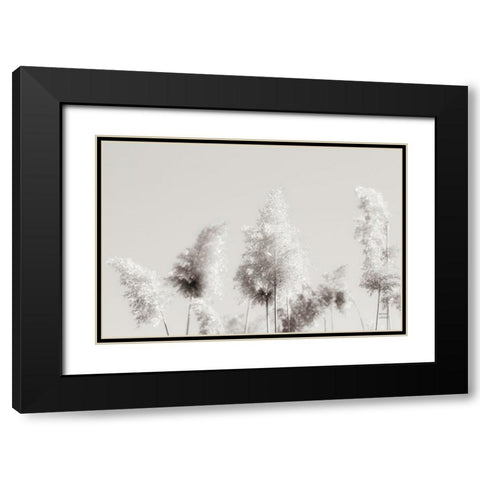 In the Wind I Black Modern Wood Framed Art Print with Double Matting by Larson, Nathan