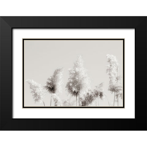 In the Wind I Black Modern Wood Framed Art Print with Double Matting by Larson, Nathan