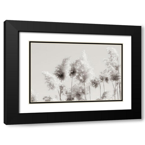 In the Wind III Black Modern Wood Framed Art Print with Double Matting by Larson, Nathan