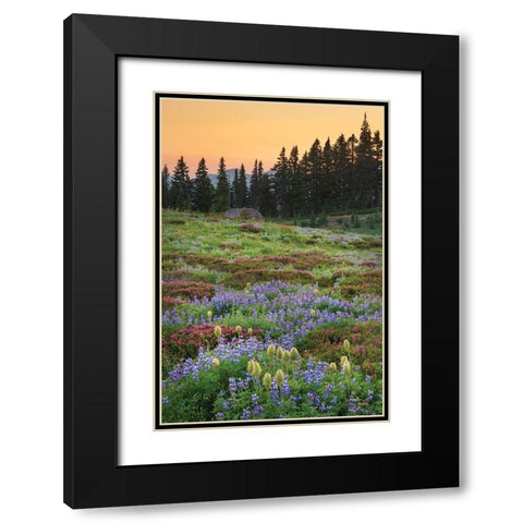 Paradise Wildflower Meadows III Black Modern Wood Framed Art Print with Double Matting by Majchrowicz, Alan
