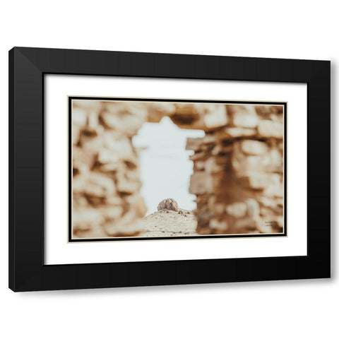 Through Ruins Black Modern Wood Framed Art Print with Double Matting by Larson, Nathan