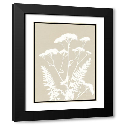 Alpine Flower I Neutral Black Modern Wood Framed Art Print with Double Matting by Ferguson, Kathy