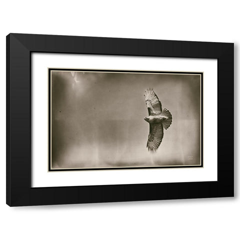 Catch and Fly Black Modern Wood Framed Art Print with Double Matting by Larson, Nathan