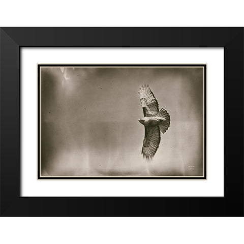 Catch and Fly Black Modern Wood Framed Art Print with Double Matting by Larson, Nathan