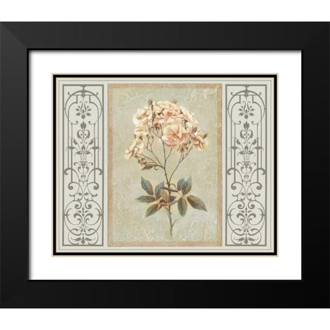 Heritage Roses I Black Modern Wood Framed Art Print with Double Matting by Chilton, Sarah E.