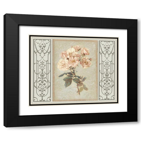 Heritage Roses II Black Modern Wood Framed Art Print with Double Matting by Chilton, Sarah E.