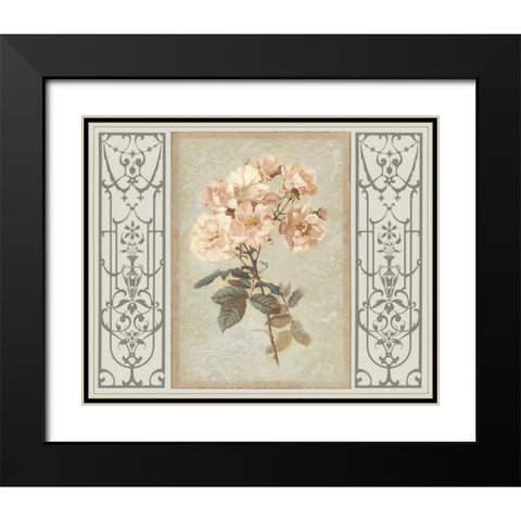 Heritage Roses II Black Modern Wood Framed Art Print with Double Matting by Chilton, Sarah E.