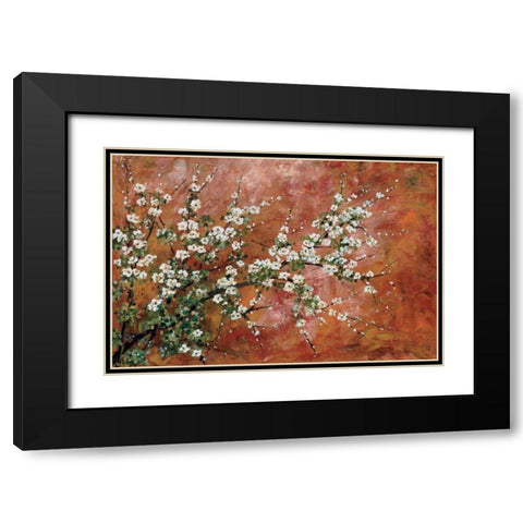 Wild Plum Blossoms Black Modern Wood Framed Art Print with Double Matting by Alexander, Zachary
