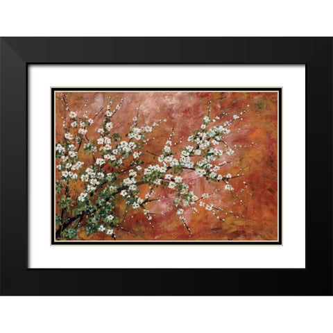 Wild Plum Blossoms Black Modern Wood Framed Art Print with Double Matting by Alexander, Zachary