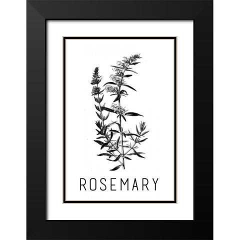 Rosemary Black Modern Wood Framed Art Print with Double Matting by Waltz, Anne