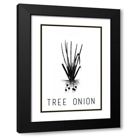 Tree Onion Black Modern Wood Framed Art Print with Double Matting by Waltz, Anne