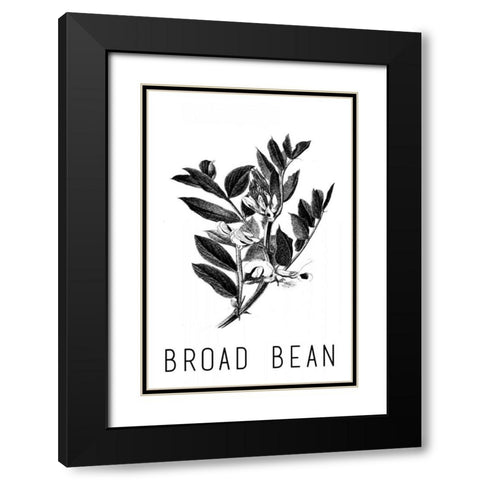 Broad Bean Black Modern Wood Framed Art Print with Double Matting by Waltz, Anne