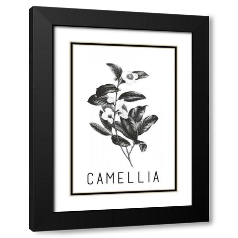 Camella Black Modern Wood Framed Art Print with Double Matting by Waltz, Anne