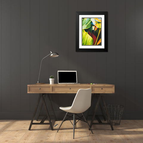 Nymphea 2 Black Modern Wood Framed Art Print with Double Matting by Koch, Angelika