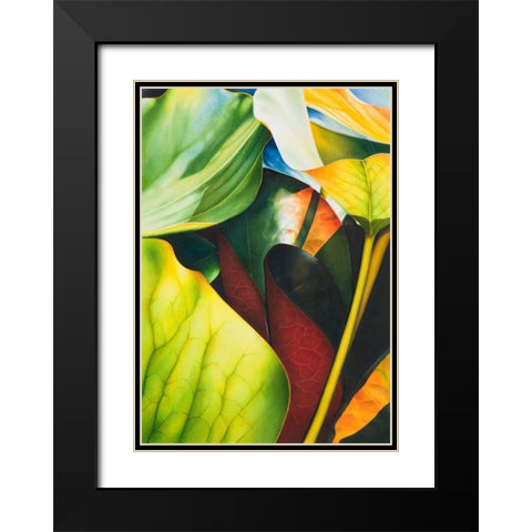 Nymphea 2 Black Modern Wood Framed Art Print with Double Matting by Koch, Angelika