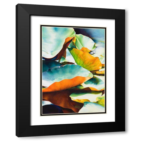 Nymphea 3 Black Modern Wood Framed Art Print with Double Matting by Koch, Angelika
