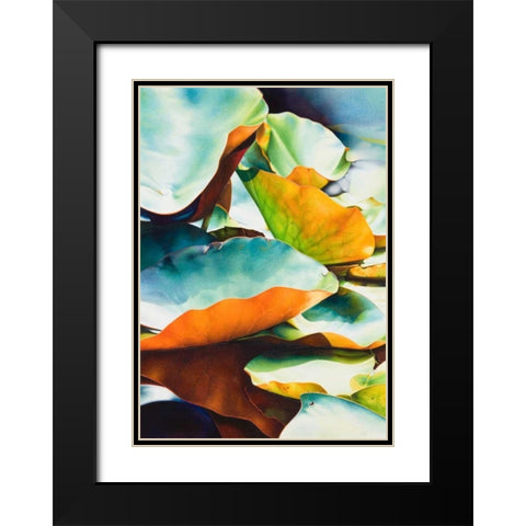 Nymphea 3 Black Modern Wood Framed Art Print with Double Matting by Koch, Angelika
