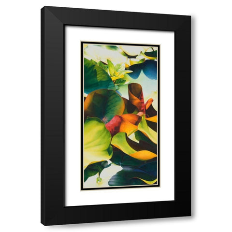 Nymphea 4 Black Modern Wood Framed Art Print with Double Matting by Koch, Angelika