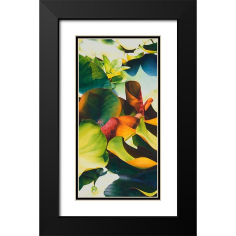 Nymphea 4 Black Modern Wood Framed Art Print with Double Matting by Koch, Angelika