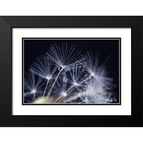 Schonheit Black Modern Wood Framed Art Print with Double Matting by Rossmeissl, Gerhard