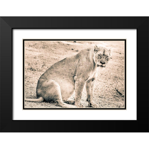 Liom-Mom Black Modern Wood Framed Art Print with Double Matting by Seifinger, Toby