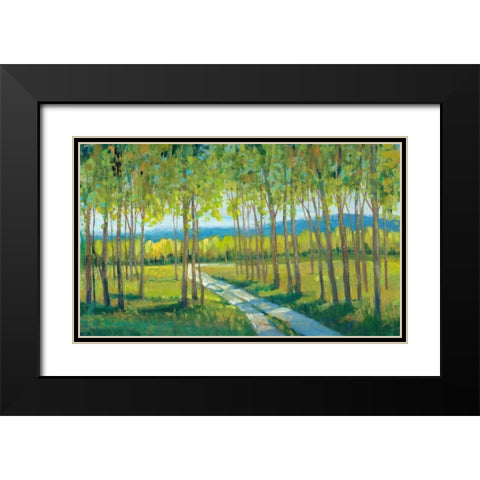 Morning Stroll II Black Modern Wood Framed Art Print with Double Matting by OToole, Tim