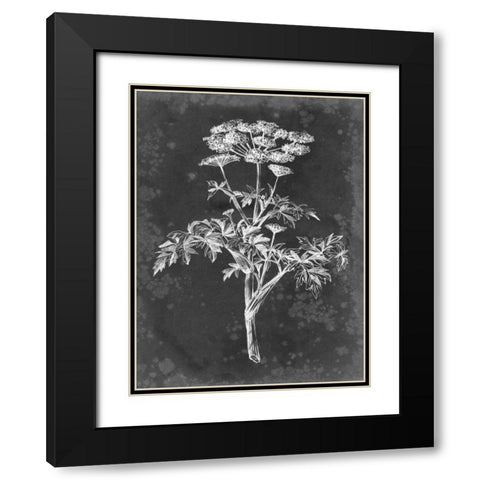 Slate Floral II Black Modern Wood Framed Art Print with Double Matting by Harper, Ethan