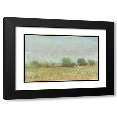 Spring Field II Black Modern Wood Framed Art Print with Double Matting by OToole, Tim