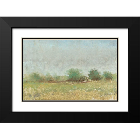 Spring Field II Black Modern Wood Framed Art Print with Double Matting by OToole, Tim