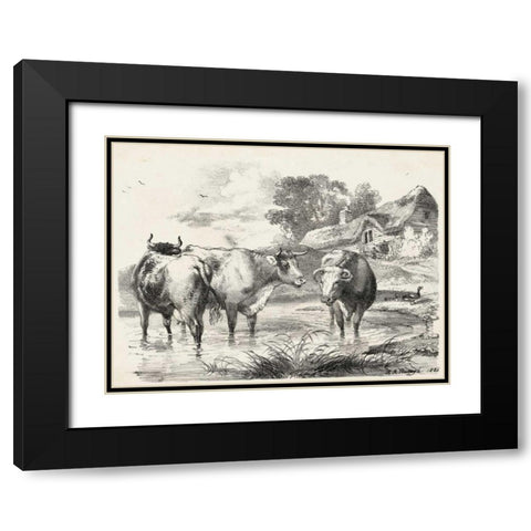 Rural Charms I Black Modern Wood Framed Art Print with Double Matting by Unknown