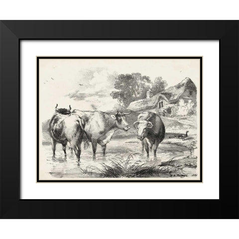 Rural Charms I Black Modern Wood Framed Art Print with Double Matting by Unknown