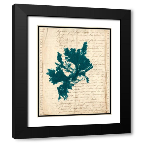 Vintage Teal Seaweed IV Black Modern Wood Framed Art Print with Double Matting by Vision Studio