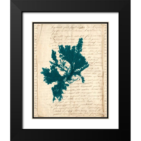 Vintage Teal Seaweed IV Black Modern Wood Framed Art Print with Double Matting by Vision Studio