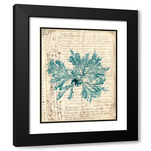 Vintage Teal Seaweed VI Black Modern Wood Framed Art Print with Double Matting by Vision Studio